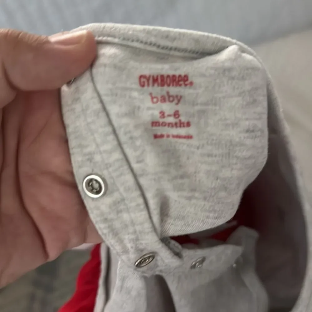 Gymboree Gray and Red Baby dress